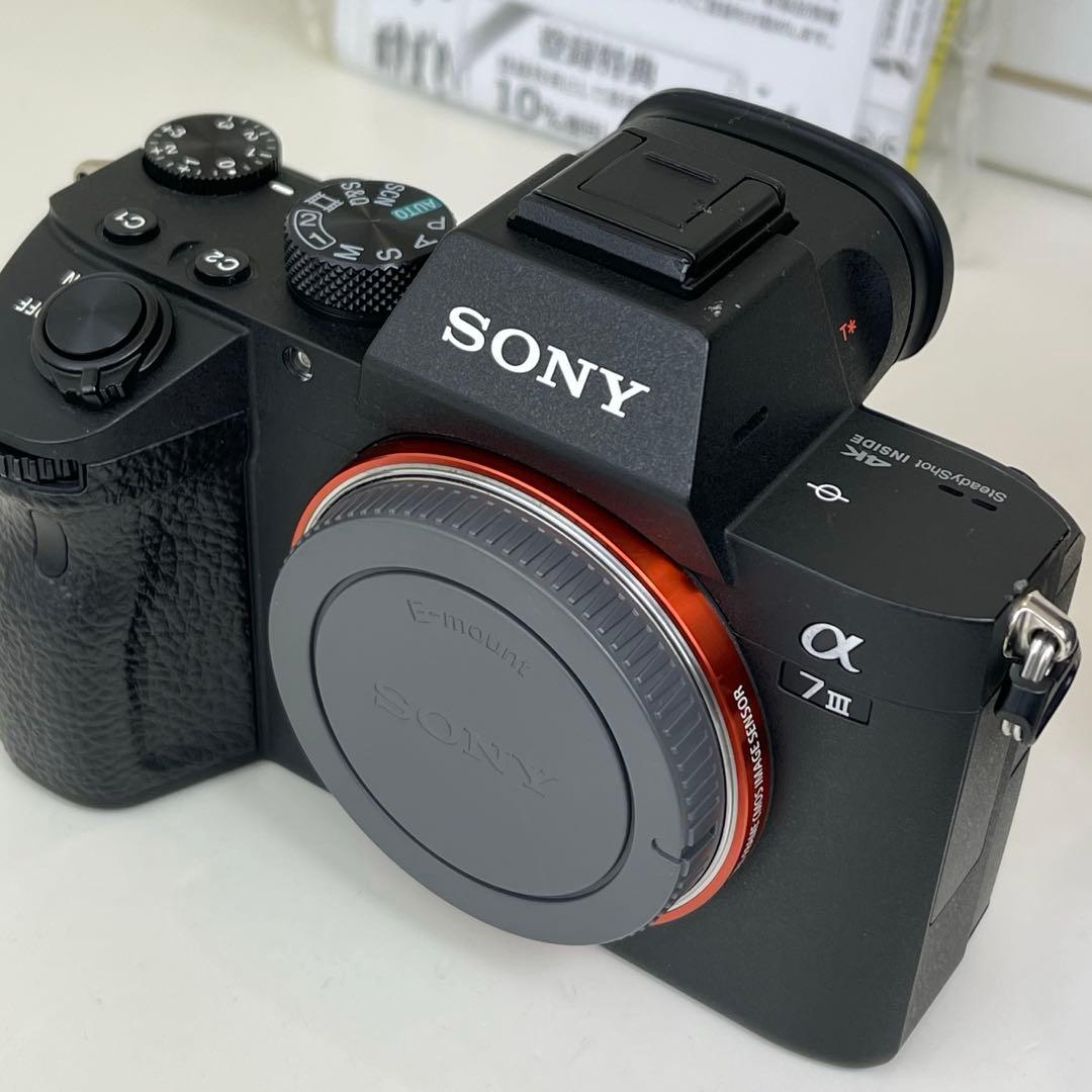 撮影枚数11877枚　SONY α7III + TAMRON 28-75mm