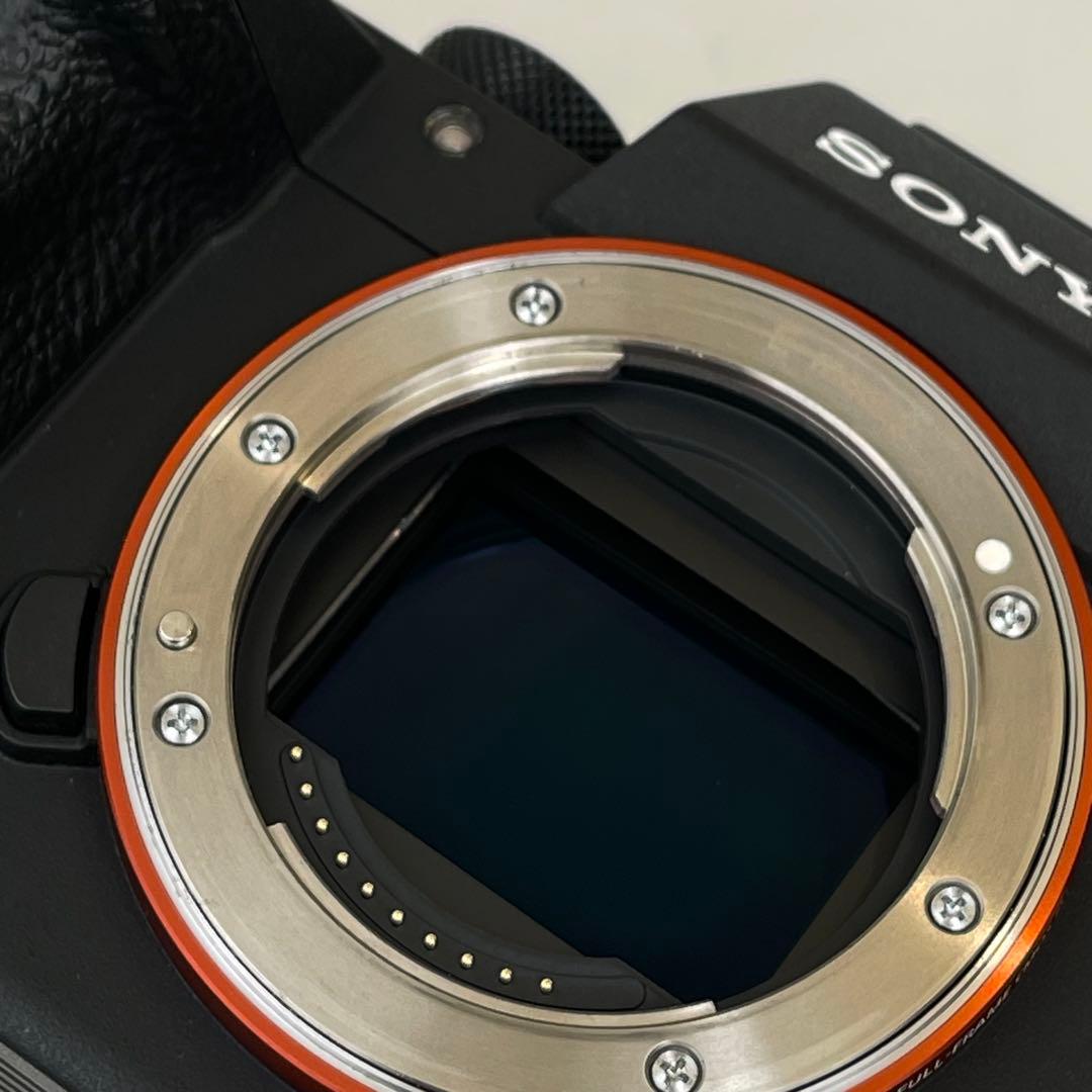 撮影枚数11877枚　SONY α7III + TAMRON 28-75mm
