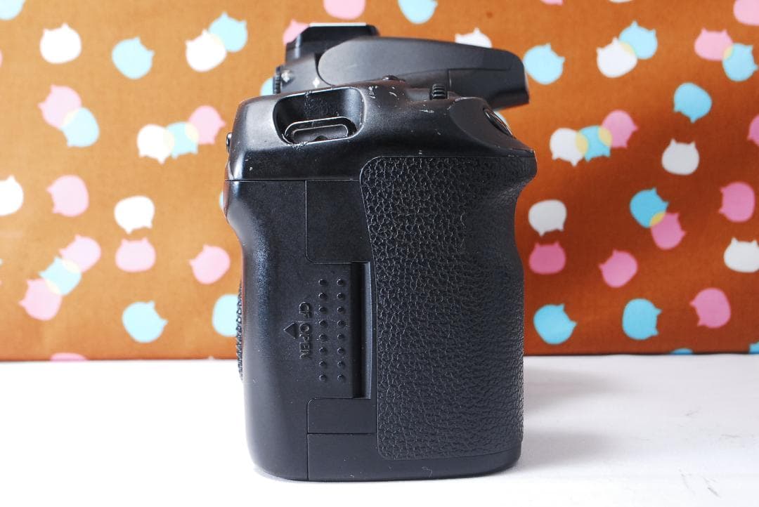 ✨届いてすぐ使える✨初心者オススメ✨Canon 40D レンズセット