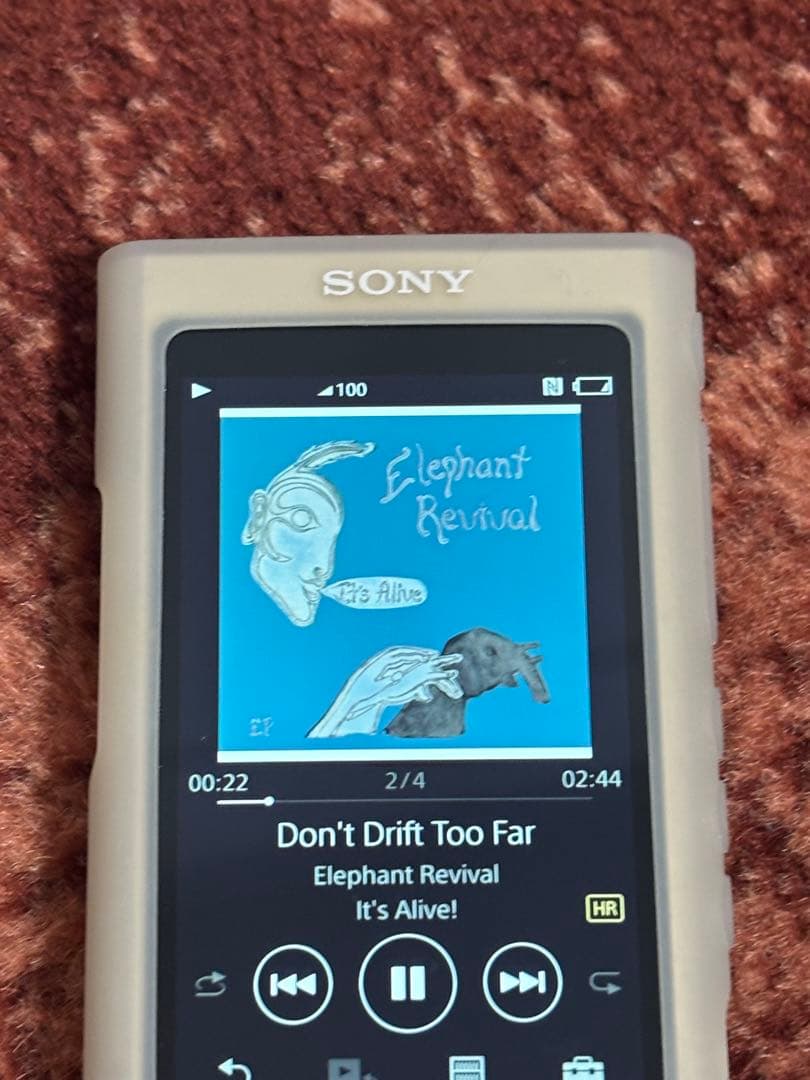 SONY NW-A55 64GB デジタルオーディオプレーヤー