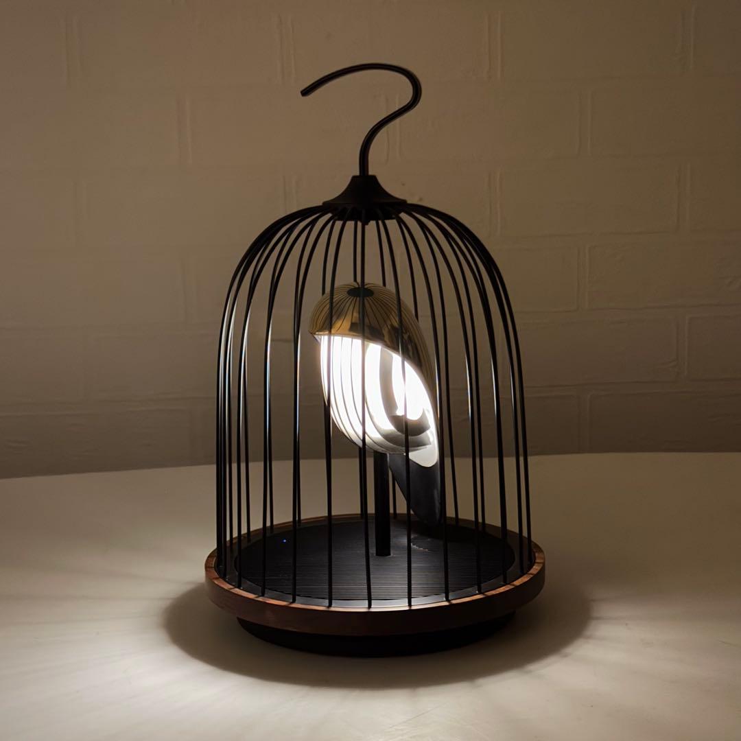 ダキコンセプト JG01 照明＆ワイヤレススピーカー ジングー フェニックス