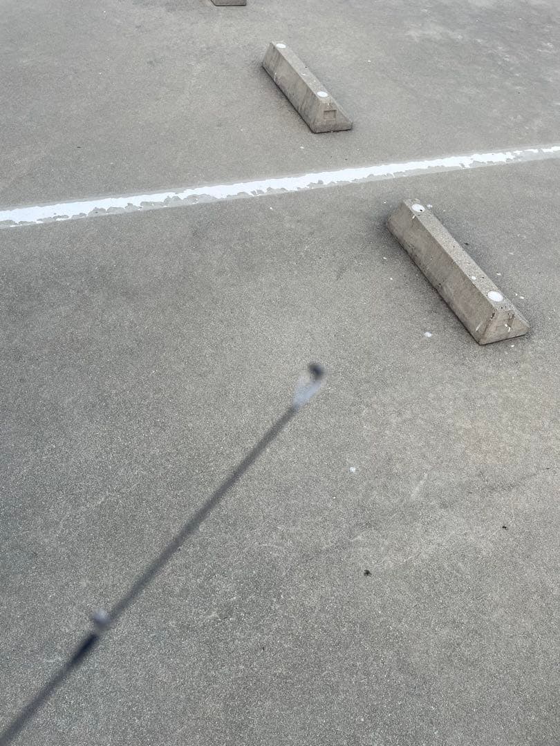 希少！ZESTA ブラックスターB65-S ソリッドベイトランサー