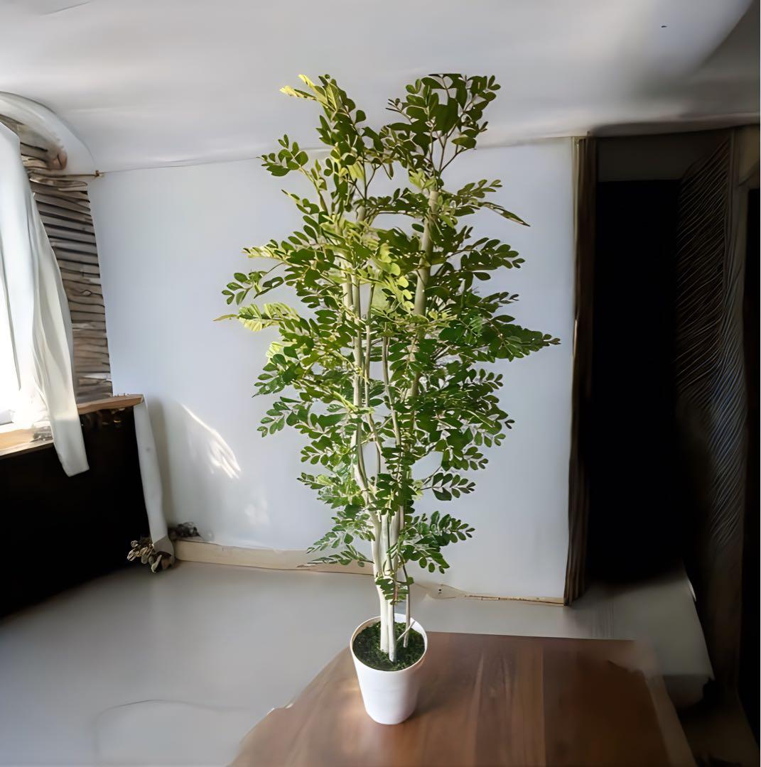 光触媒　人工観葉植物　ウォールグリーン　フェイクグリーン　トネリコ17075aj