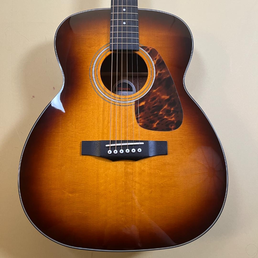 Morris F-351i TS アコースティックギター 純正ケース付き 美品