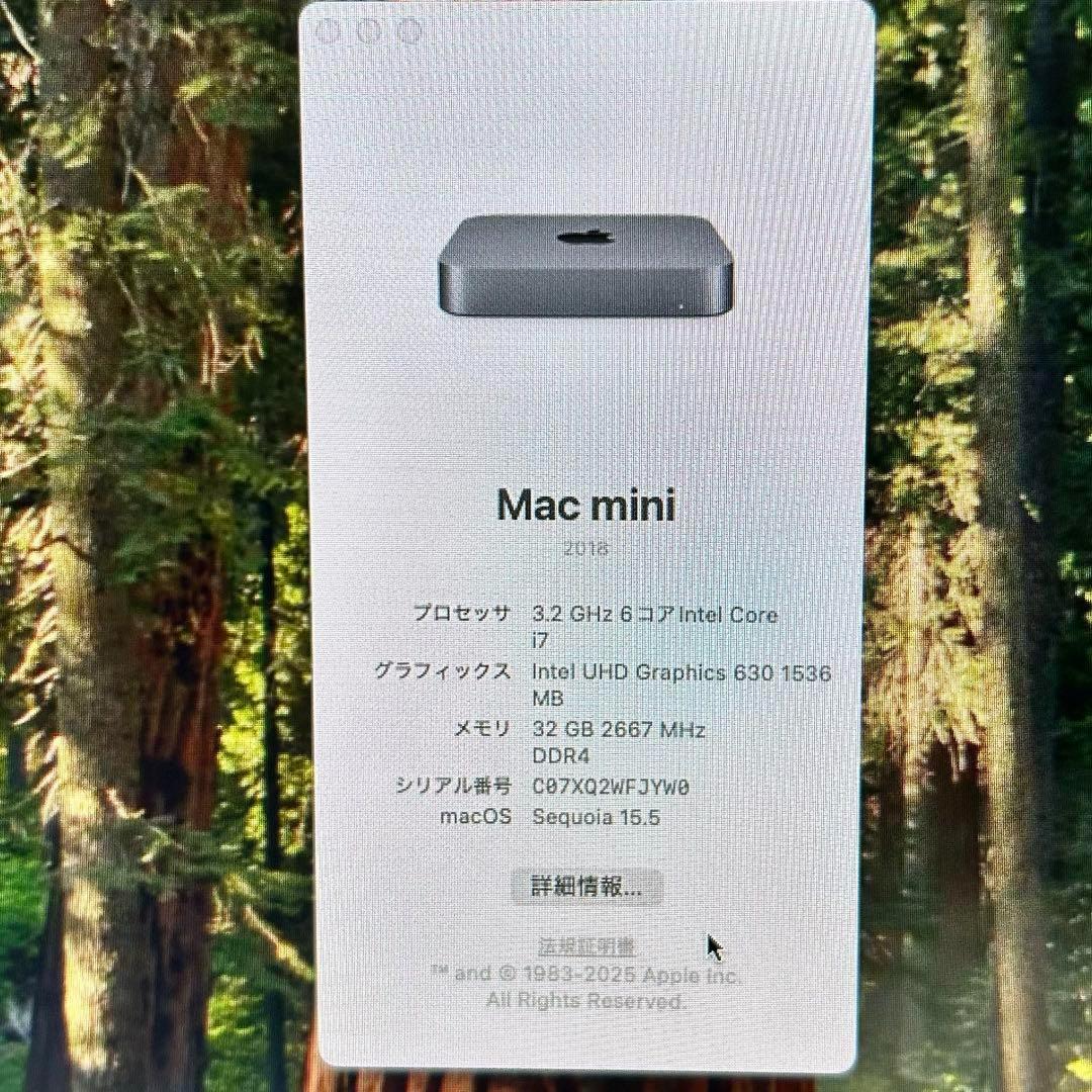 イ*ン様 【美品】Mac mini 2018 i7 6コア64GB SSD2TB