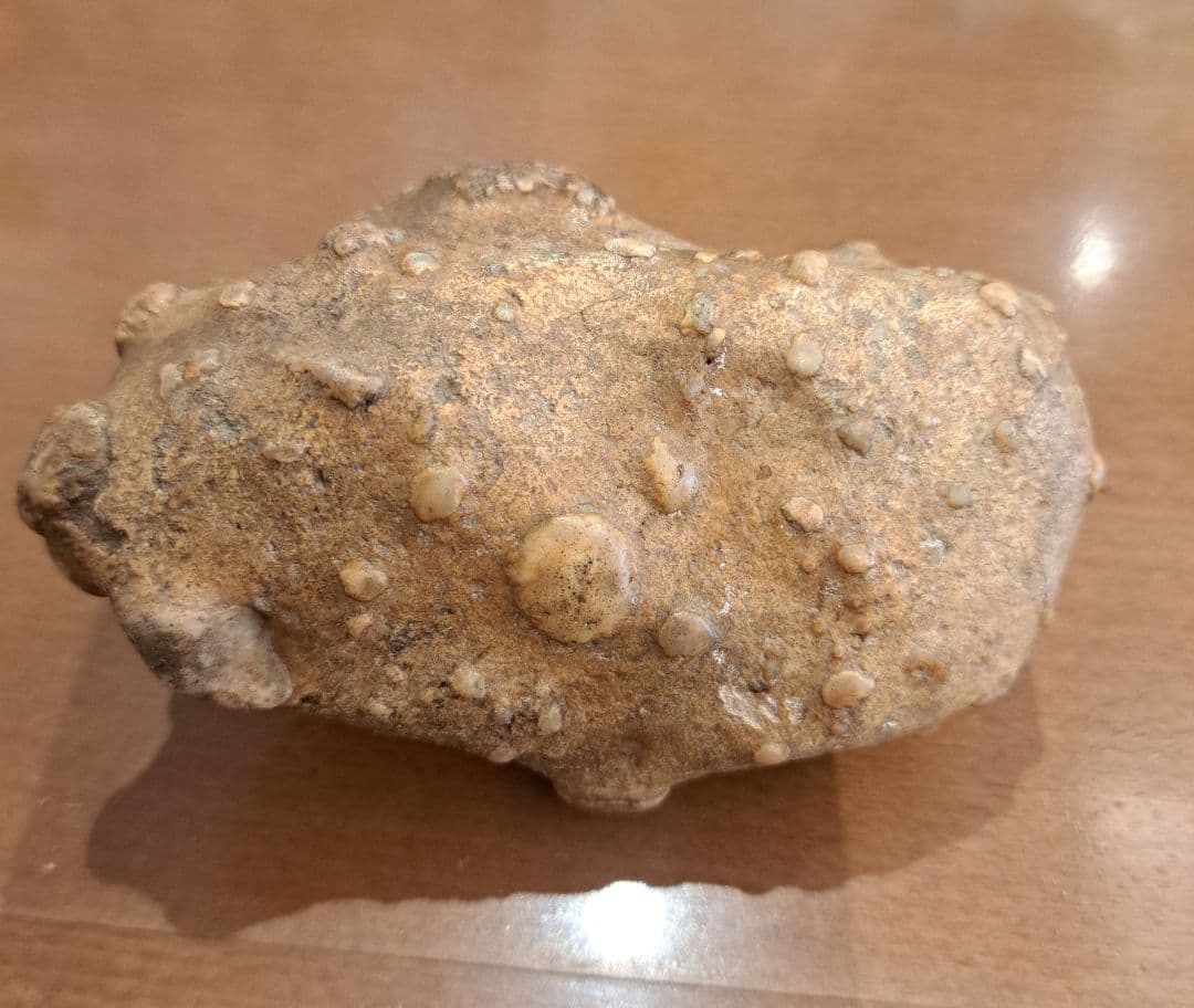 茶色い不規則形状の原石 鑑賞石　サンダーエッグ