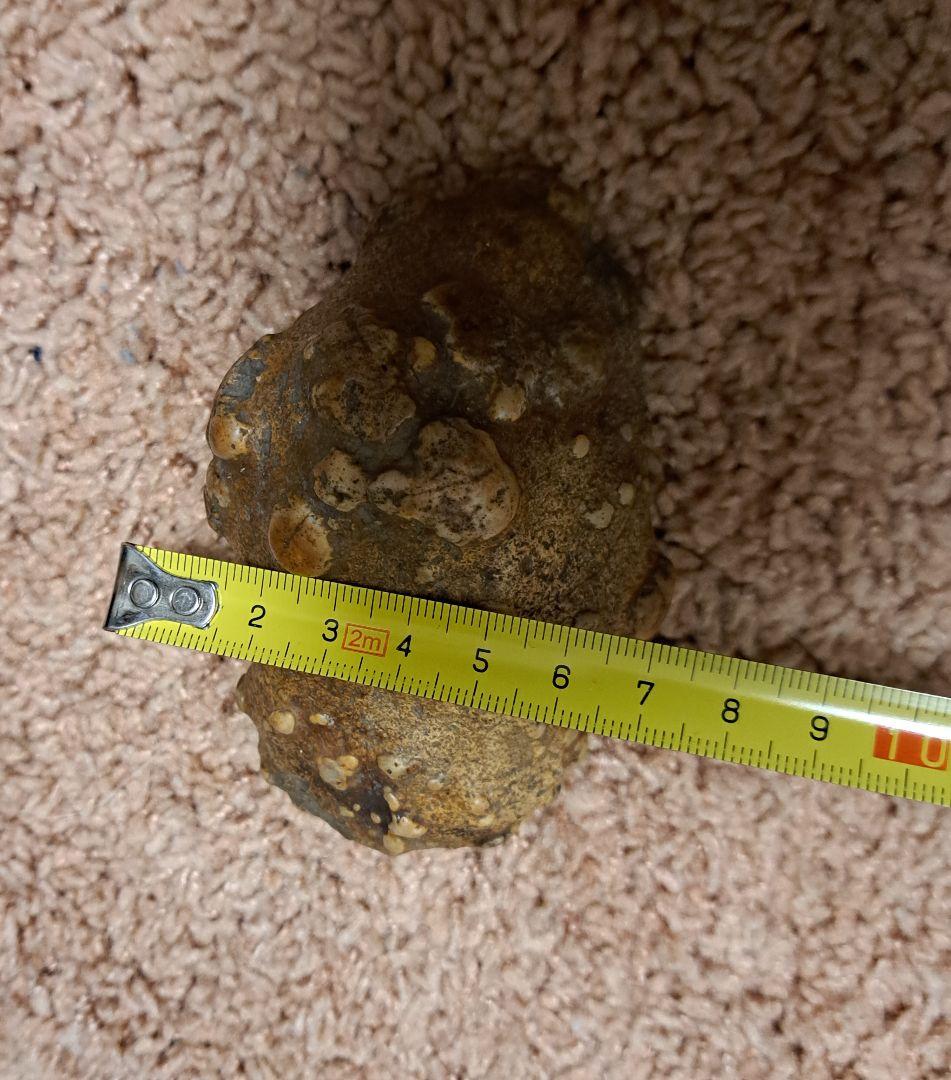 茶色い不規則形状の原石 鑑賞石　サンダーエッグ