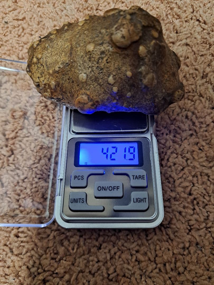 茶色い不規則形状の原石 鑑賞石　サンダーエッグ