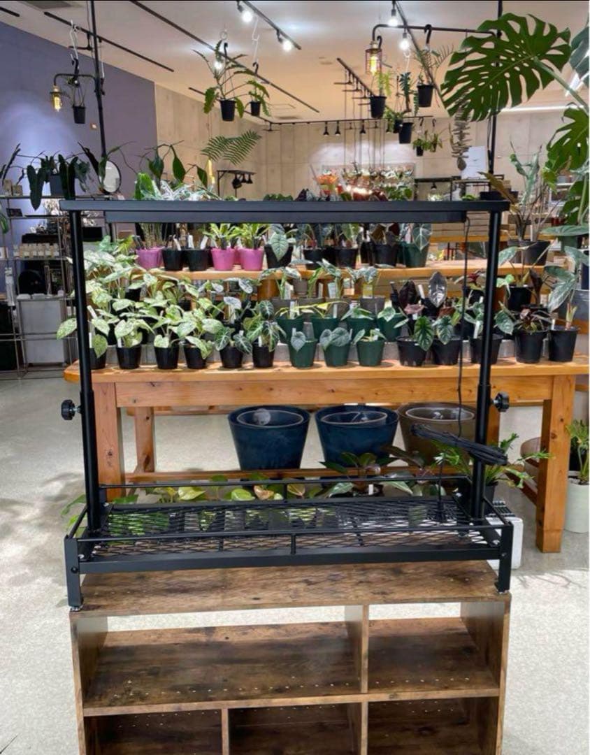 塗装前完成品　1台のみ　アイアン植物棚　ミニ植物棚　特別細めエキスパンドメタル