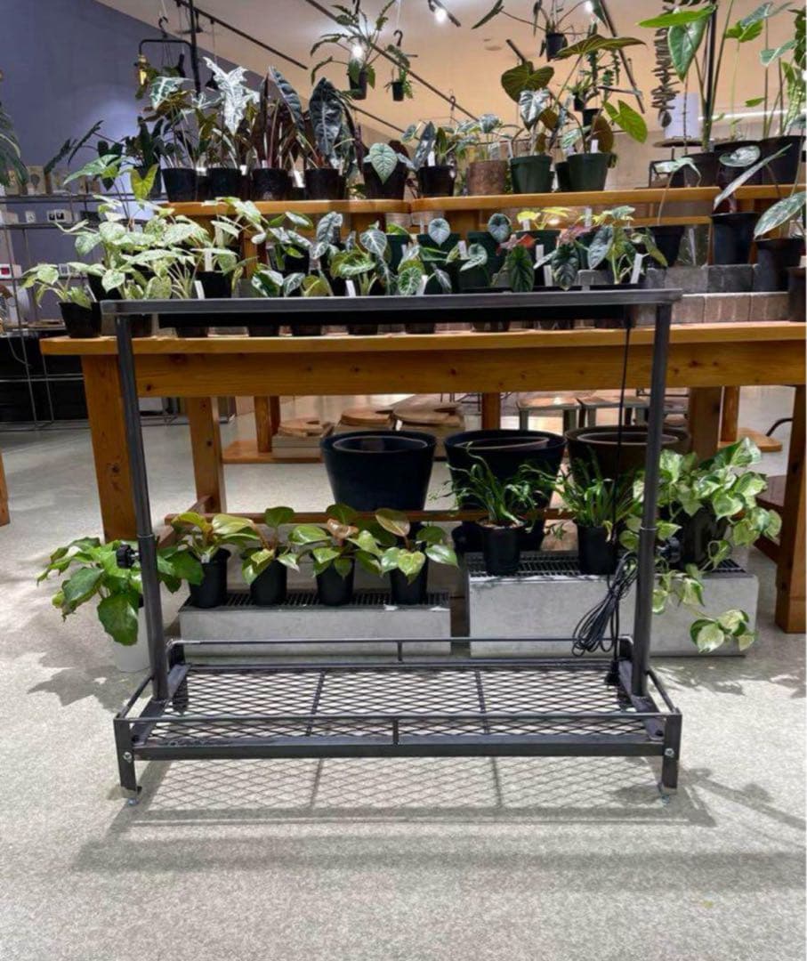 塗装前完成品　1台のみ　アイアン植物棚　ミニ植物棚　特別細めエキスパンドメタル