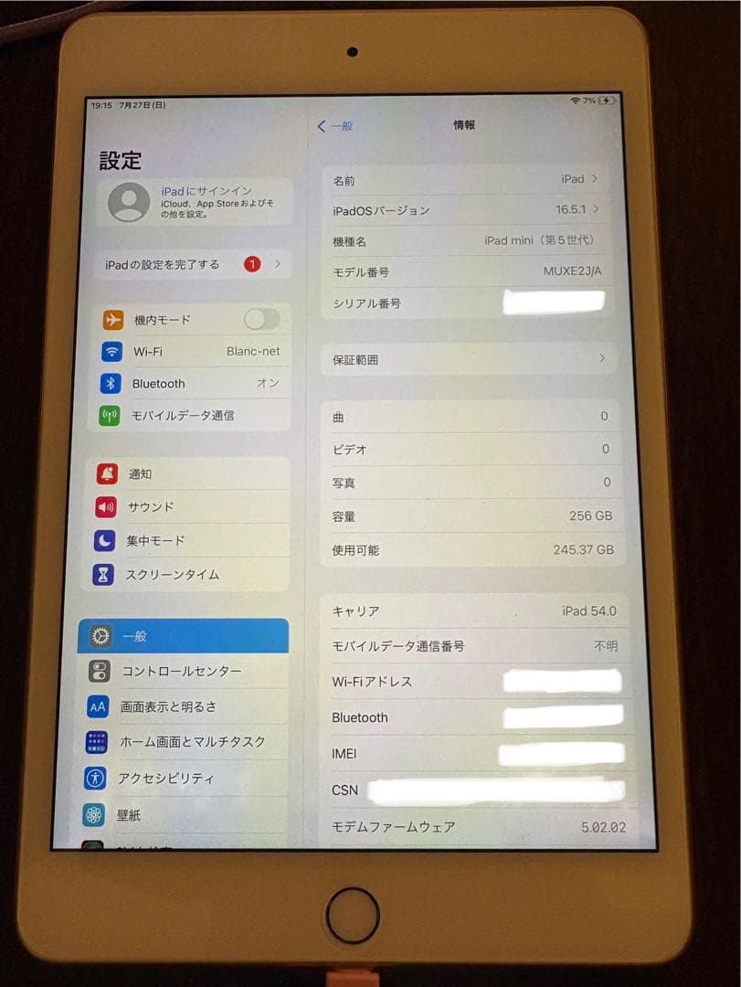 Apple iPad mini 256GB ゴールド 本体 第五世代