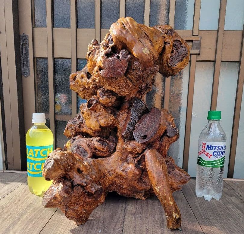 【22万円から、お正月特価に値下げしました。】流木？のオブジェ/花立/その他