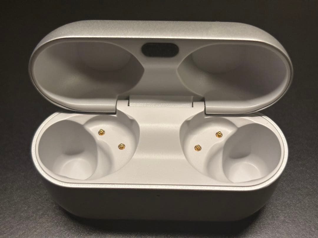 Panasonic Technics ワイヤレスイヤホン EAH-AZ100-S