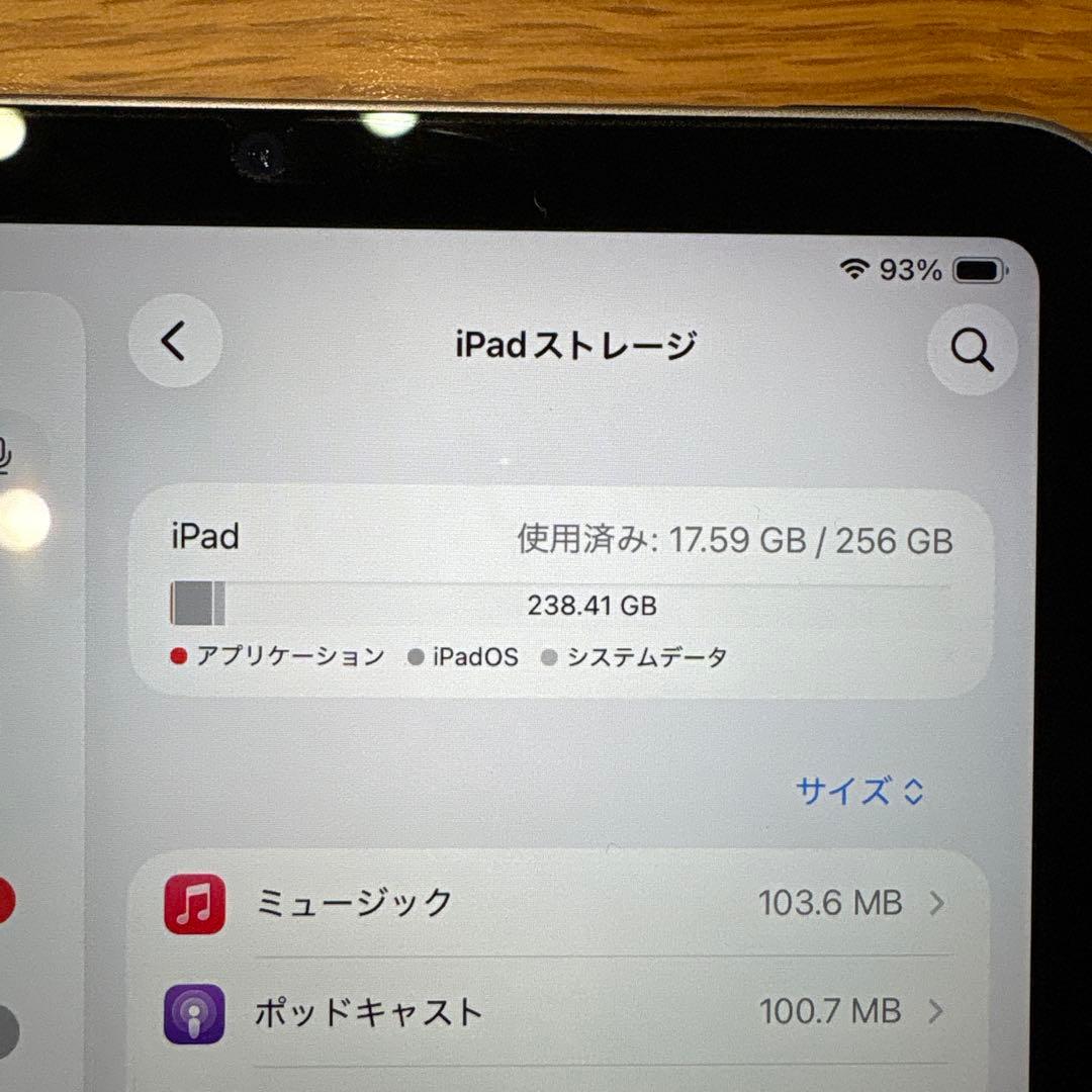 iPad本体 iPad mini 6 256gba