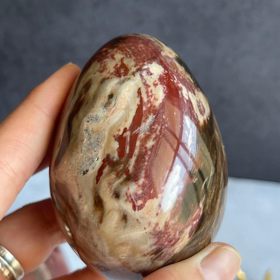 ペトリファイド ウッド エッグ 珪化木 マダガスカル産 台座付き