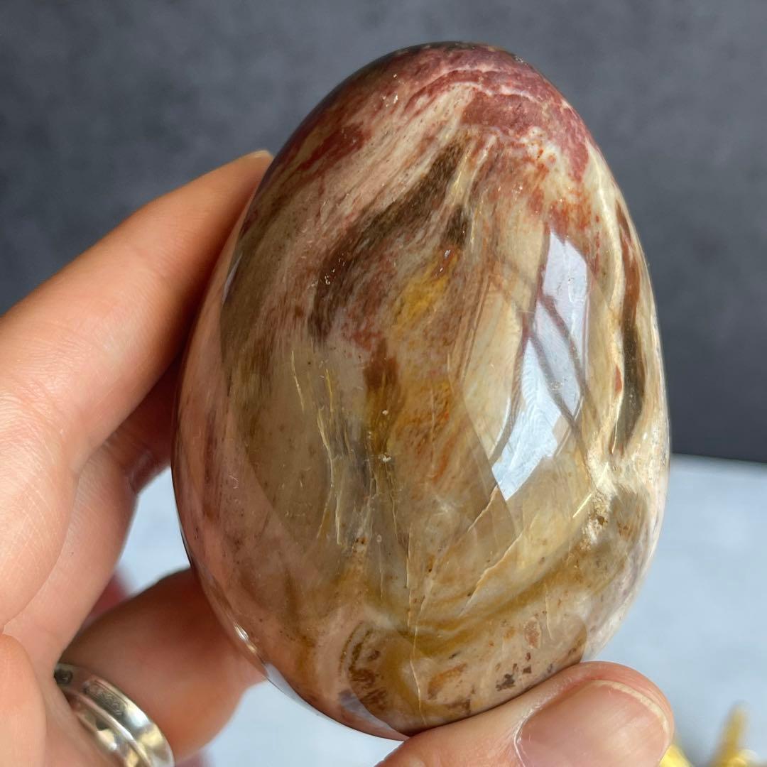 ペトリファイド ウッド エッグ 珪化木 マダガスカル産 台座付き