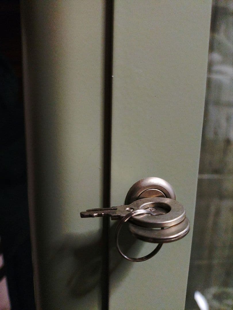 FABRIKÖR ファブリコールコレクションケース ペールグレーグリーンIKEA