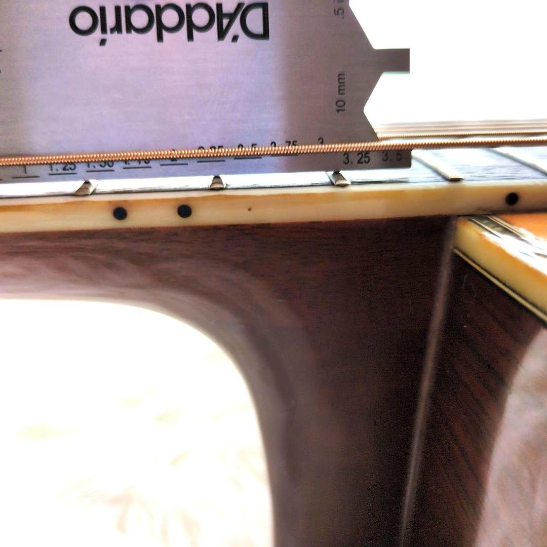 希少　新品弦　現状販売 MORRIS TF W-50 ハカランダモデル