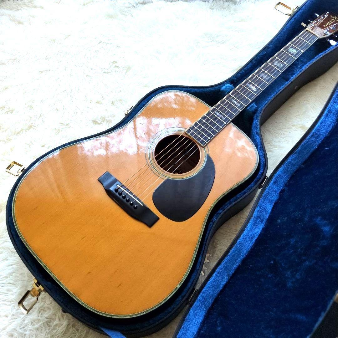 希少　新品弦　現状販売 MORRIS TF W-50 ハカランダモデル