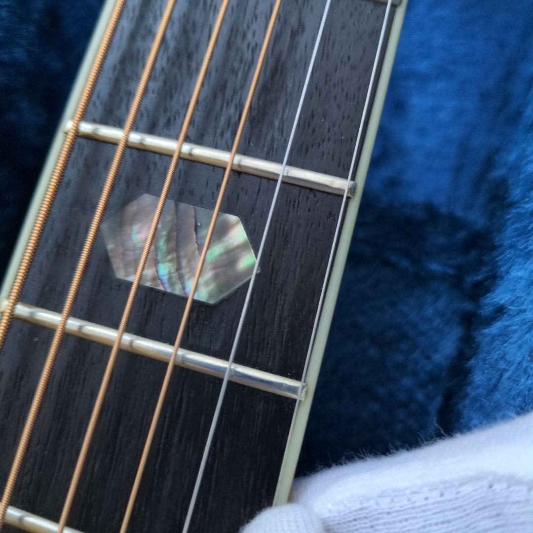 希少　新品弦　現状販売 MORRIS TF W-50 ハカランダモデル