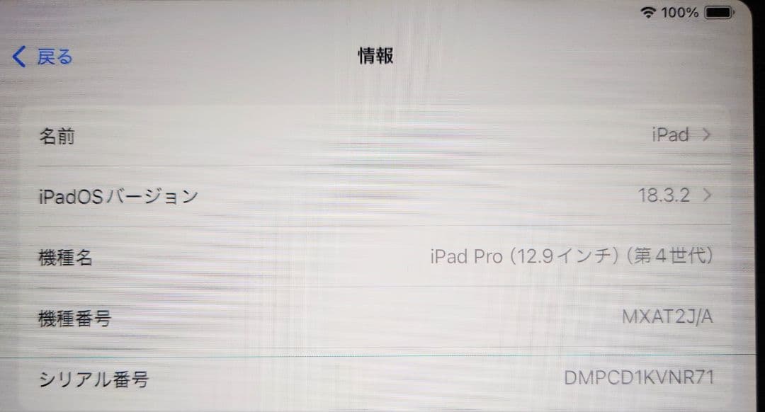 iPad pro 12.9インチ (第4世代) 256GB
