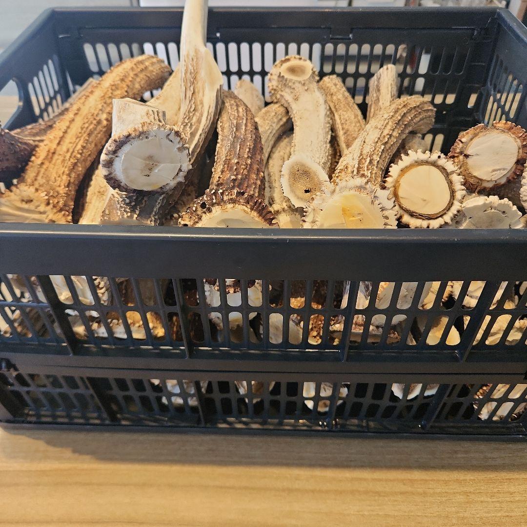 鹿の角 (特大～大サイズ)犬用おもちゃ ランダム　2kg　およそ4本～8本