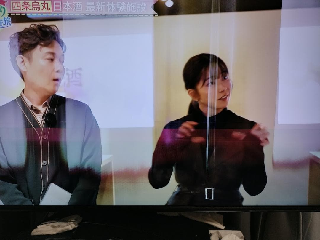 オリオン 50型 チューナーレステレビ AEUD-50D(SAUD501)