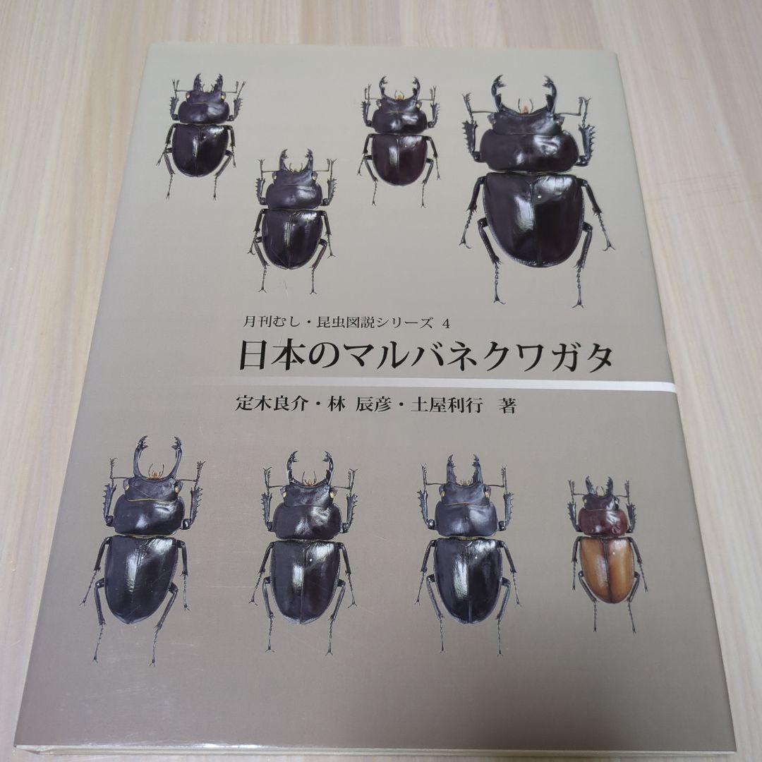 世界のカブトムシ 上 日本のマルバネクワガタ