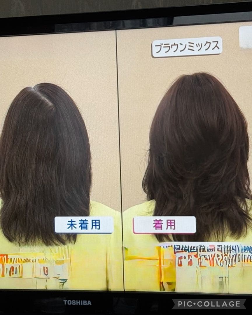 ＊お値下げしました＊アートネイチャーJOヘアピース