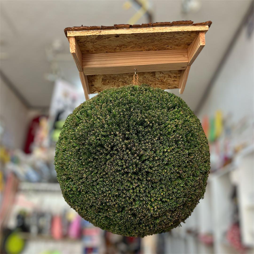 杉玉【屋根付き】③