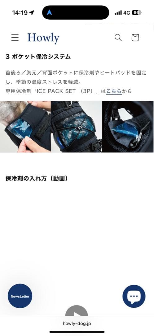 【Mサイズ白】 試着のみHowly FRAME-X ADV HARNESS