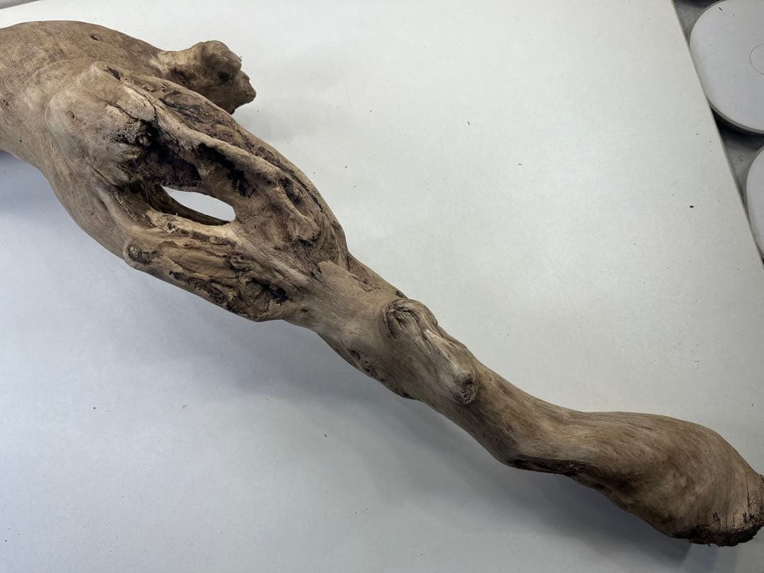 R64特大流木 アク抜き済み流木 爬虫類シェルター 登り木 インテリア 生け花