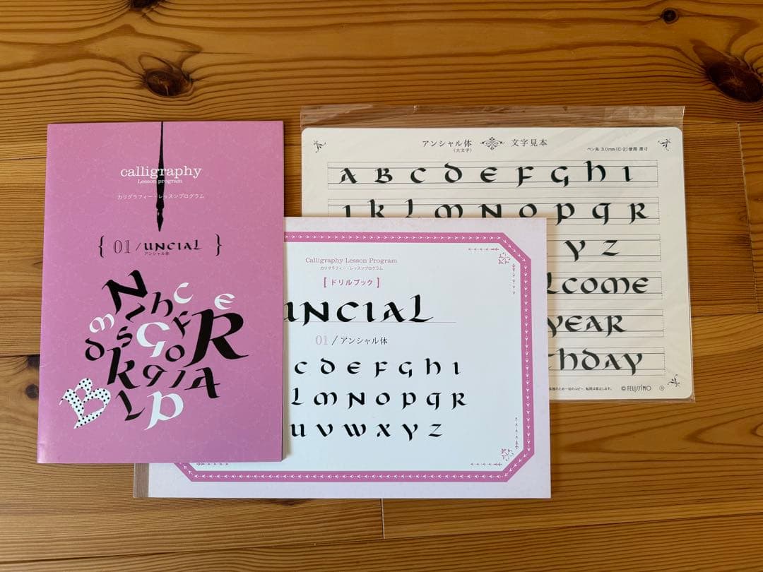 未使用品　カリグラフィー レッスン 全種セット フェリシモ