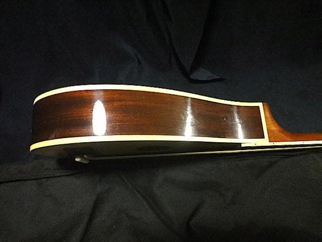 ♪TINY BOY タイニーボーイTT-40 トラベルギター♪