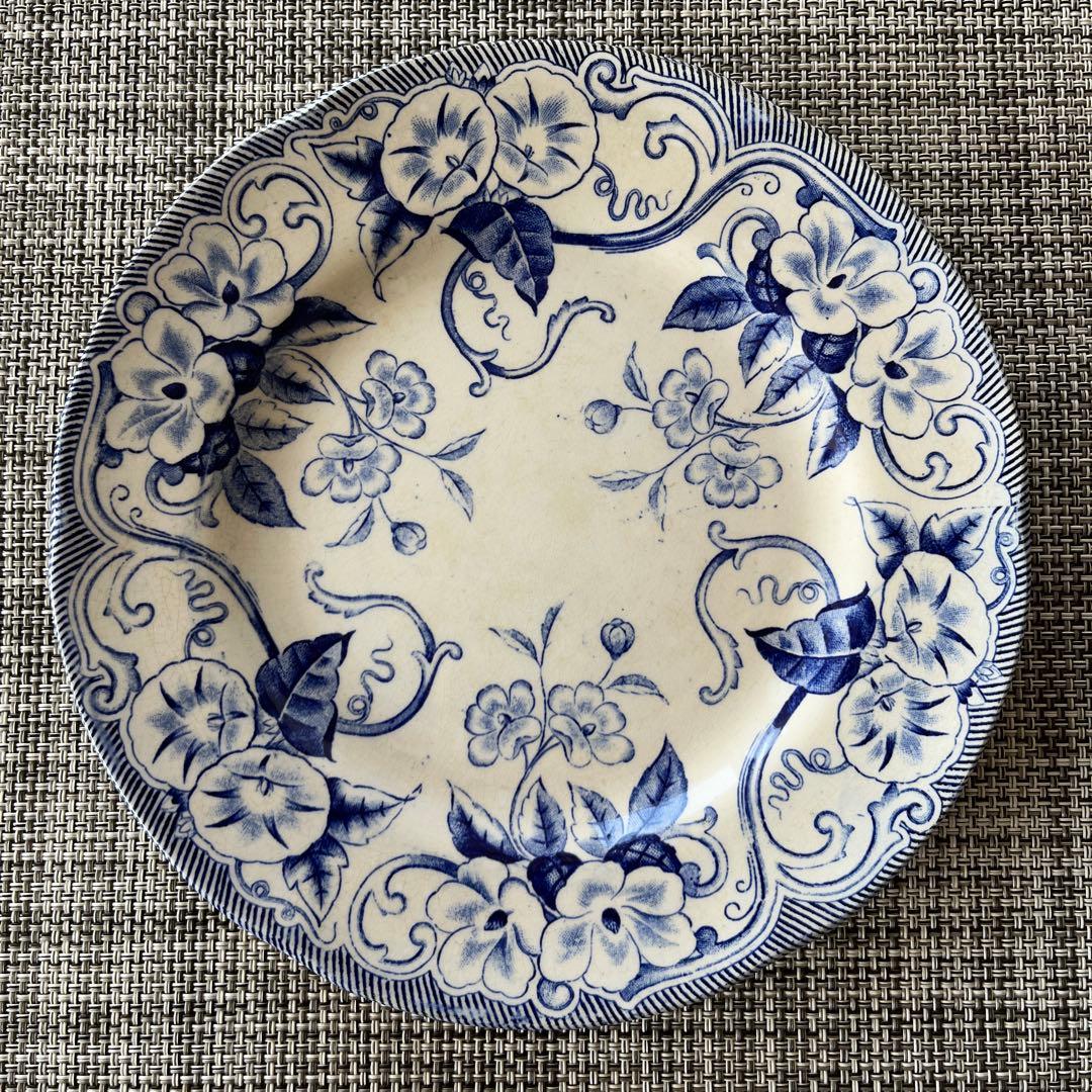 【ray 】クレイユモントロー　FLORAシリーズ　プレート2枚セット