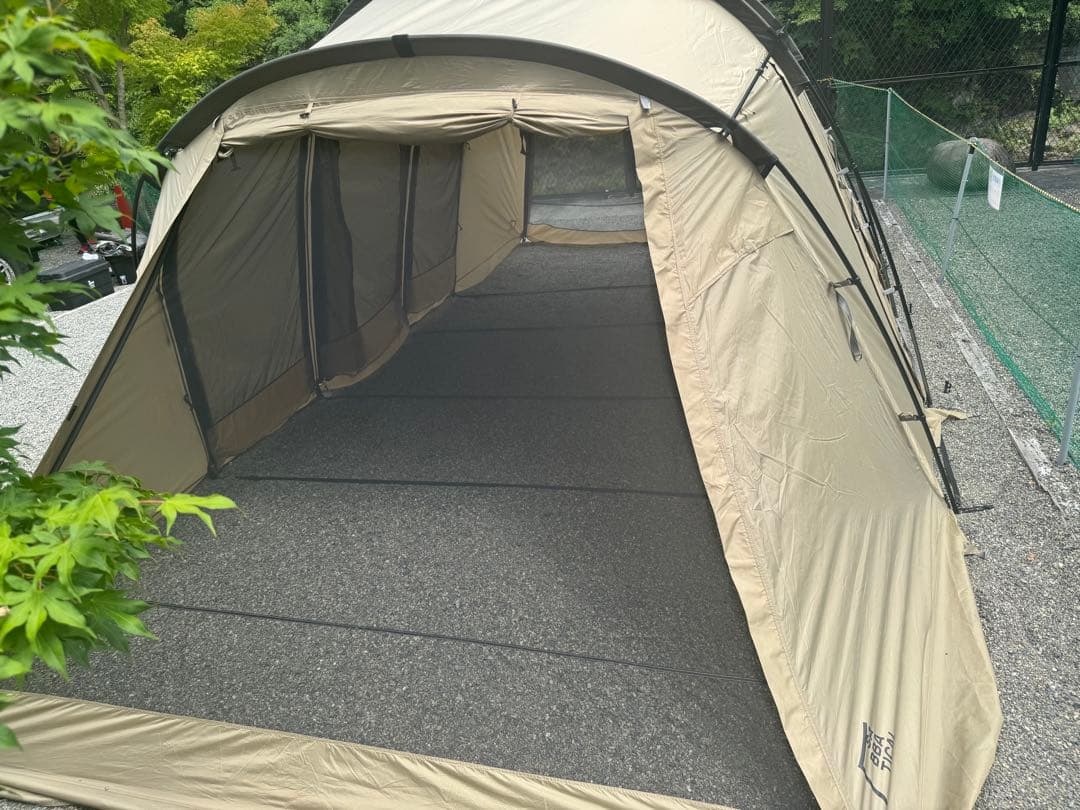 サバティカル　アルニカ　サンドストーン