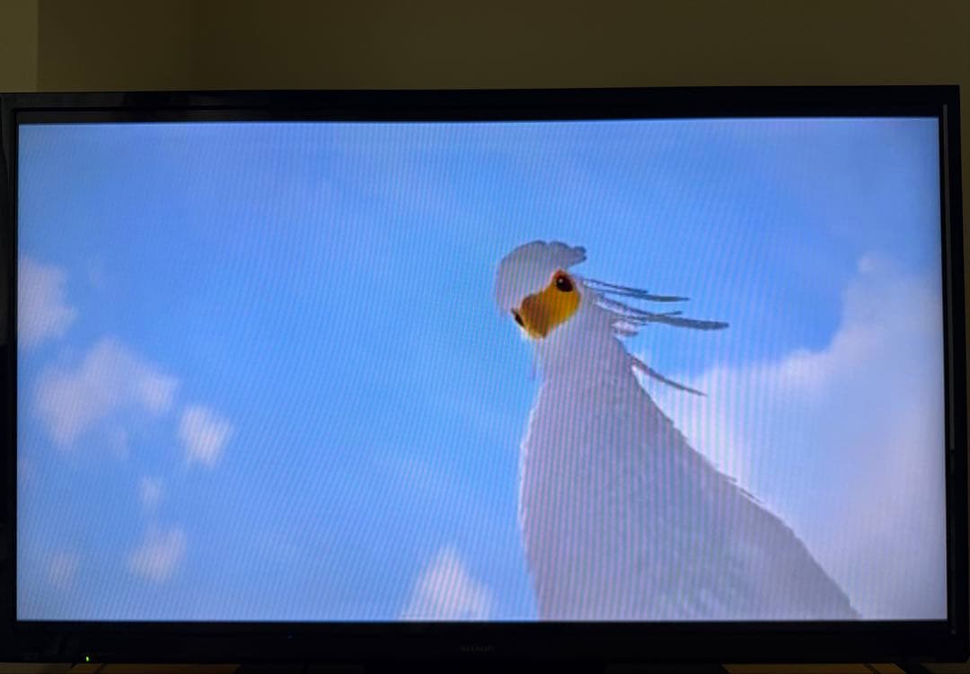 SHARP LC-40H40 40インチ テレビ