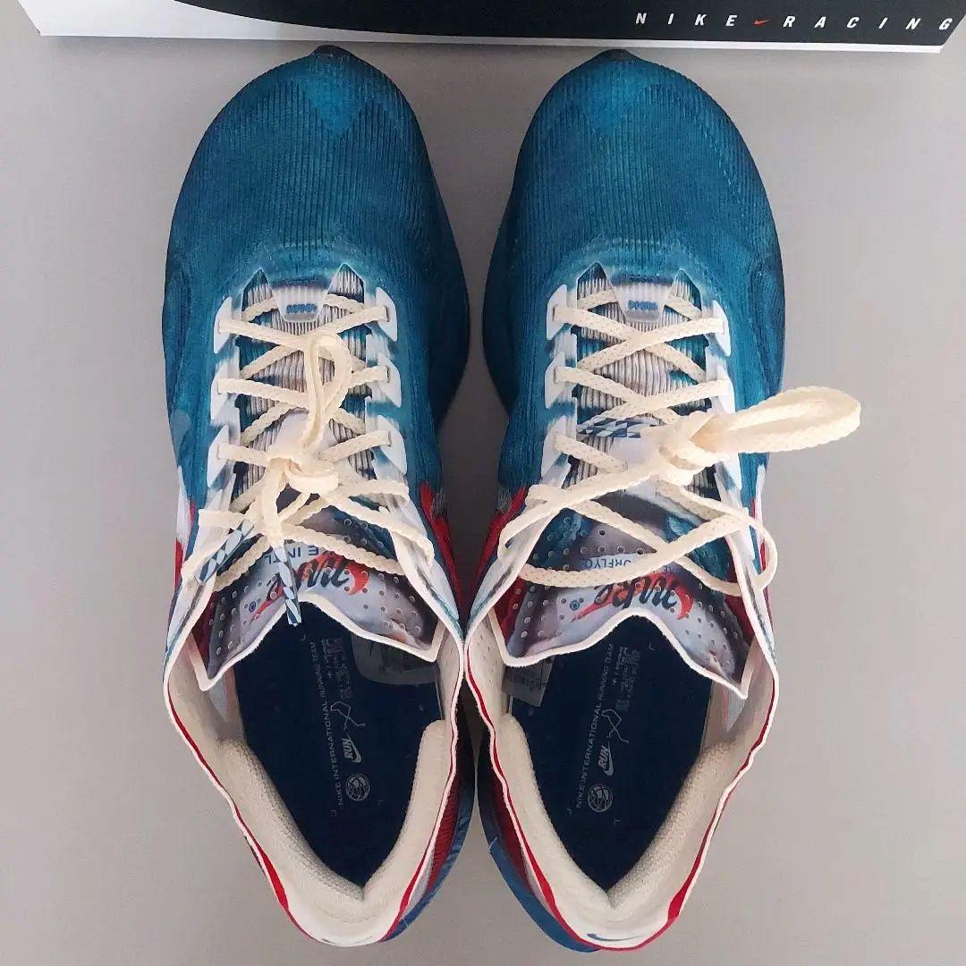 【美品】 ヴェイパーフライ4 プレミアム 27cm