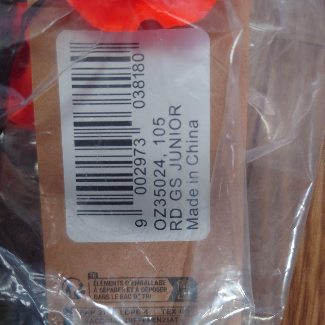 アルペンスキー　GS用ストック105cm