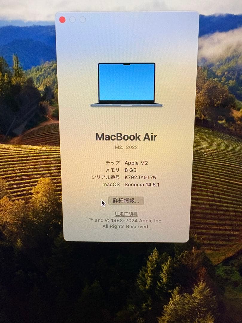 MacBook本体 MacBook Air 2022 256GB