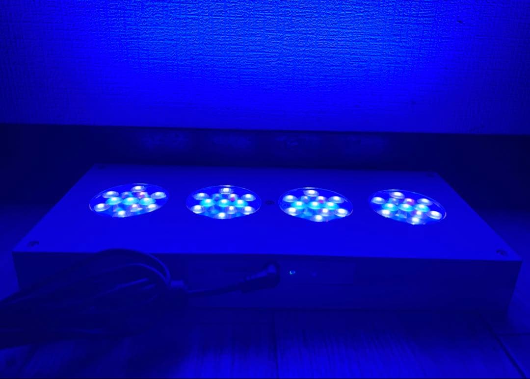 LEDライト AI Hydra ハイドラ52HD サンゴ