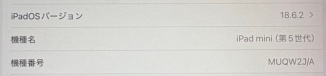 Apple iPadmini5 第5世代　64GB iPad ケース付き