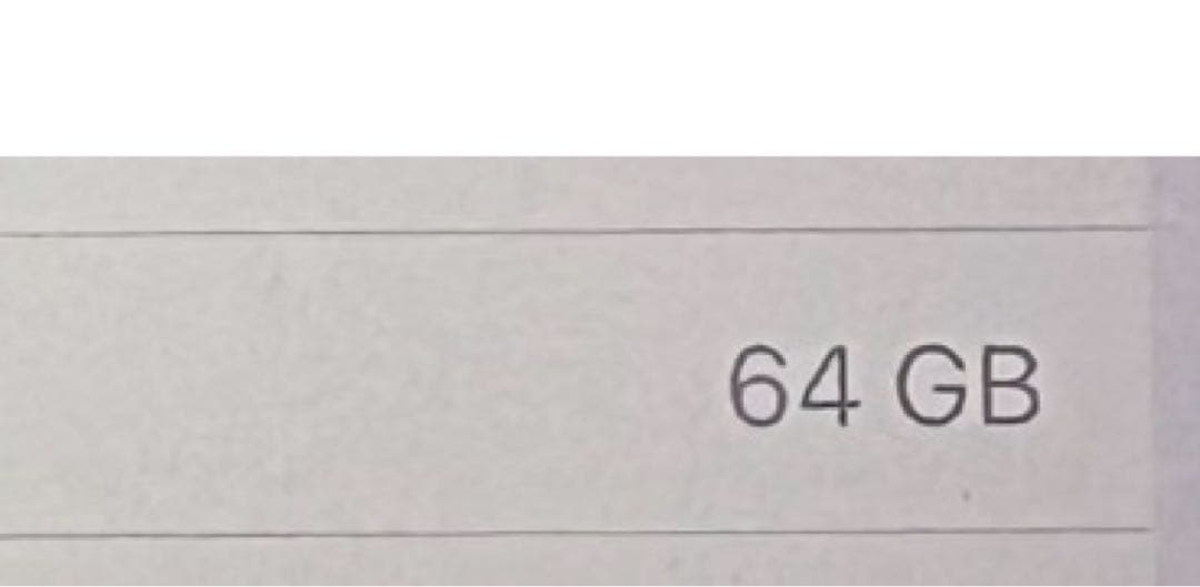 Apple iPadmini5 第5世代　64GB iPad ケース付き