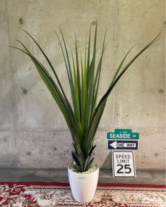 光触媒　人工観葉植物　ウォールグリーン　フェイクグリーン　バンダンザス