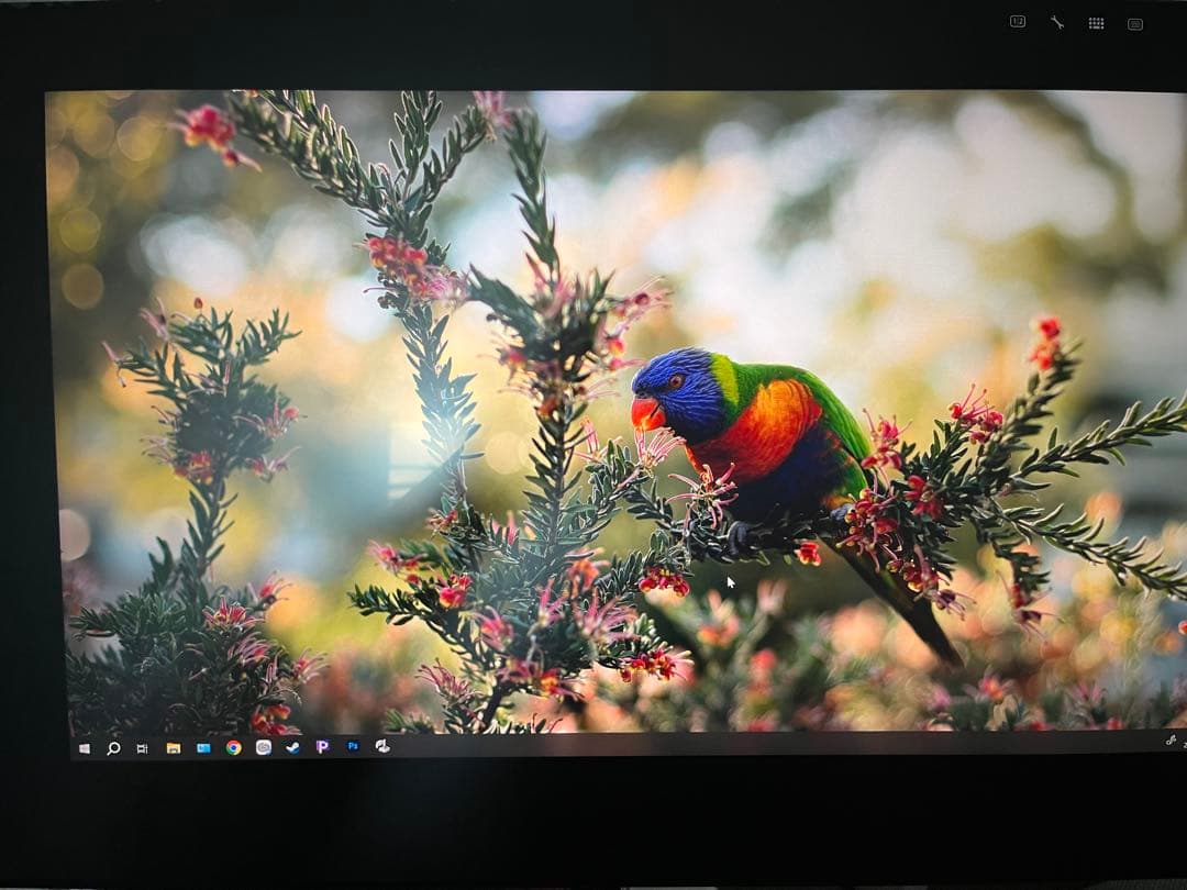 Wacom cintiq pro 24本体＋Wacom flex arm