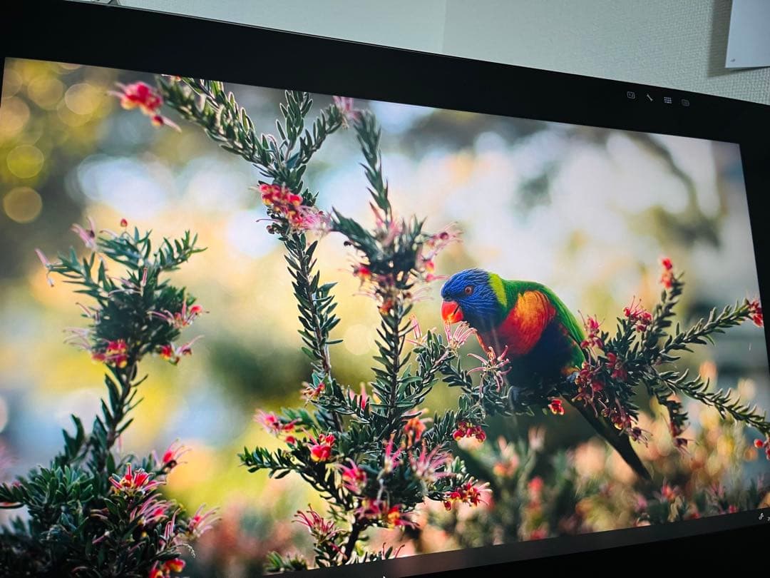 Wacom cintiq pro 24本体＋Wacom flex arm