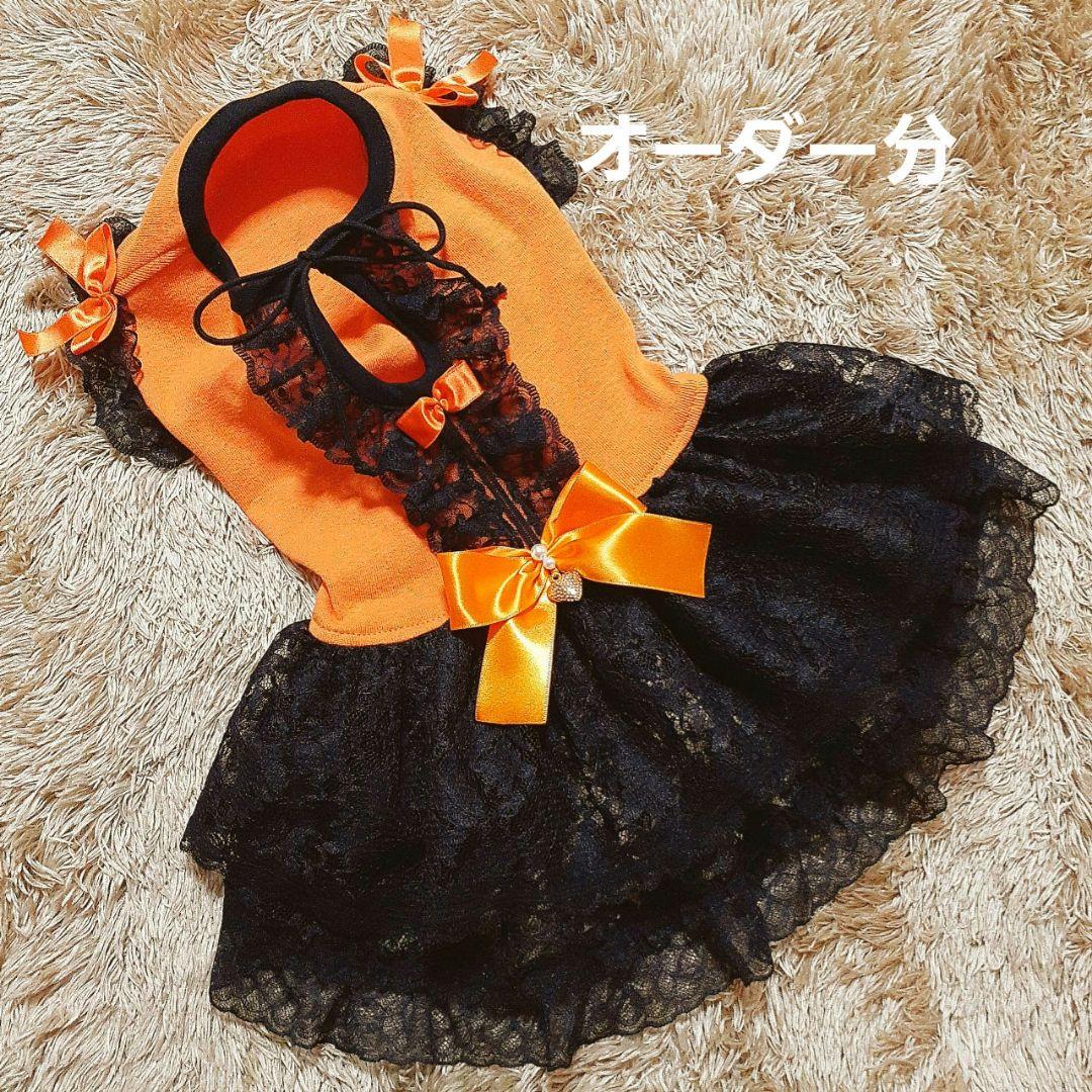 犬服・アクセサリー Yuu