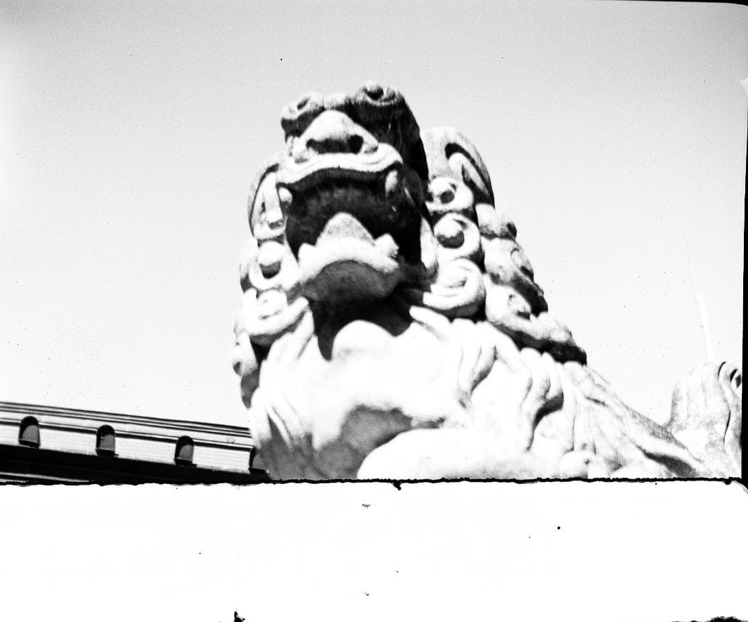 アグファ シンクロボックス　中判カメラ 120フィルム使用　試写あり