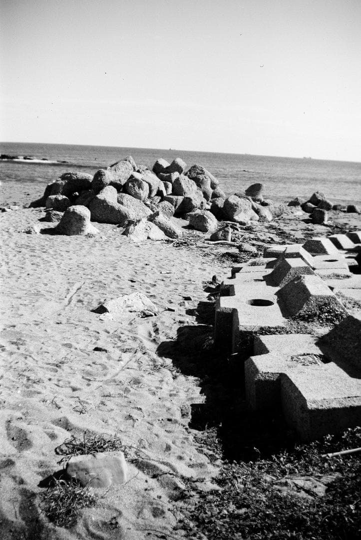 アグファ シンクロボックス　中判カメラ 120フィルム使用　試写あり