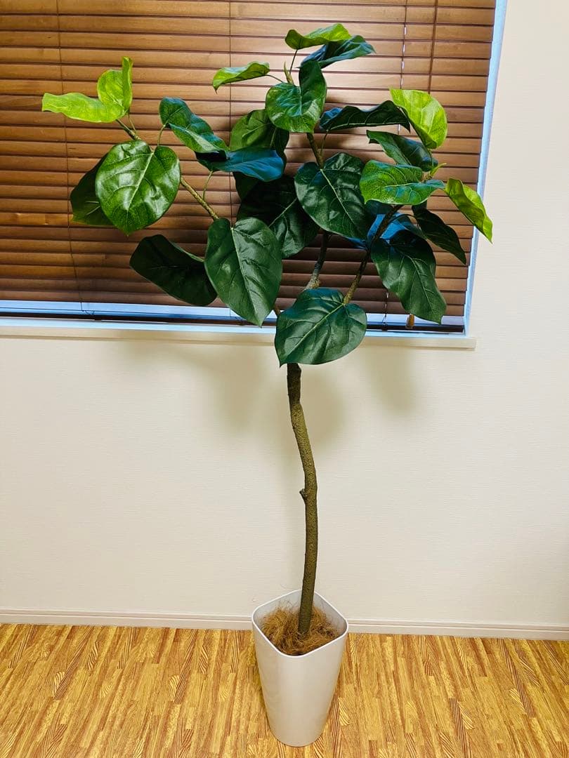 ウンベラータ フェイクグリーン 150cm